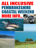 All Inclusive Pembrokeshire Coastal Break 31st Oct - 2nd Nov